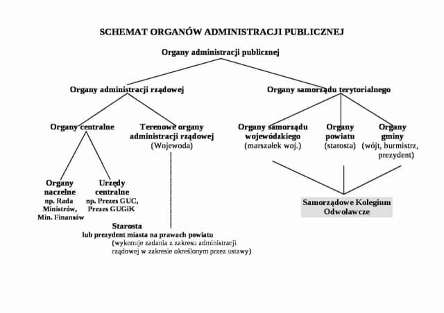 Czy sąd jest organem administracji publicznej? Odkryj kluczowe różnice Czy sąd jest organem administracji publicznej? Odkryj kluczowe różnice